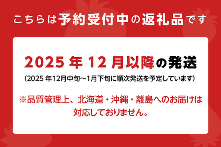 【12月下旬より順次発送】農家直送 朝採り新鮮いちご【博多あまおう】約270g×2パック_Fi061