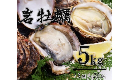 牡蠣 カキ 岩ガキ 岩がき 岩牡蠣 岩カキ 海のミルク 濃厚 クリーミー 夏バテ防止 5kg 焼き 蒸し 加熱 