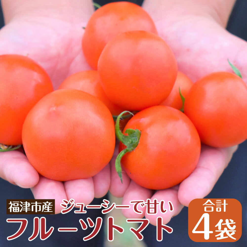 【ふるさと納税】福津が誇る”冬野菜”ジューシーで甘い「久保田農園のフルーツトマト」4袋 野菜 サラダ トマト 常温 送料無料 【2025年11月～2026年2月順次発送】［F0074］