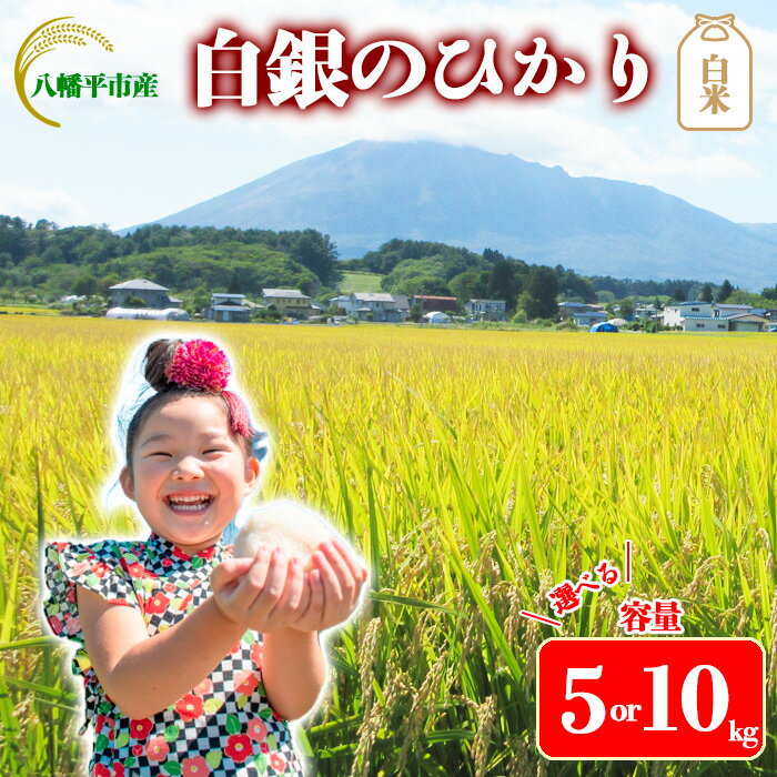 【ふるさと納税】 【令和7年産】【先行予約】 2025年産 岩手県産 米 こめ お米 精米 選べる 容量 5kg 10kg 岩手141号 白銀のひかり ／ 白米 白飯 ご飯 ごはん おこめ ライス らいす おにぎり おすすめ 人気 国産米 国産 産地直送 東北 岩手県 八幡平市 送料無料 かきのうえ