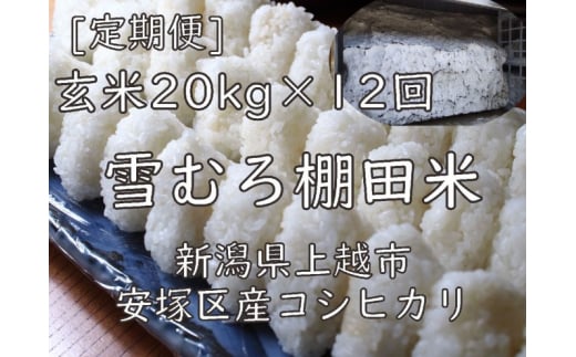 定期便 12ヶ月 雪むろ 棚田米 コシヒカリ 20kg 玄米 [定期便]毎月発送(計12回) こしひかり 米 お米 こめ おすすめ ユキノハコ 新潟 新潟県産 にいがた 上越 上越産