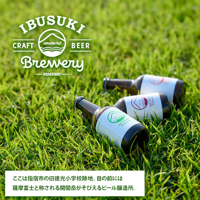 クラフトビール いぶすきケルシュエール【初恋のあの子】6本 (いぶすきブルワリー/018-2028) クラフトビール 瓶 ビール セット ビールセット