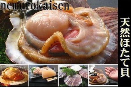 【12/31決済分まで1月中配送】 ＼漁業者応援品／【北海道根室産】活ホタテ貝 2kg前後 詰合せ A-57030