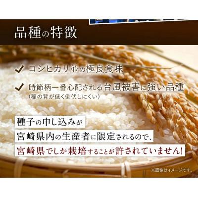 ふるさと納税 高鍋町 【毎月定期便】宮崎県産夏の笑み(無洗米)10kg(5kg×2袋)全3回 |  | 01