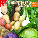 【ふるさと納税】3ヶ月定期便 旬の新鮮野菜・果物詰合せセット (計3回お届け)たっぷり10-15品目 熊本県氷川町産 道の駅竜北《お申込み月の翌月から出荷開始》