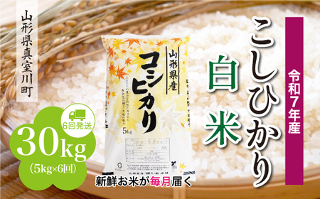 ＜令和7年産米＞ 令和8年4月中旬より発送 こしひかり【白米】30kg定期便 (5kg×6回) 山形県真室川町　◆RR7K3005M-H2604B