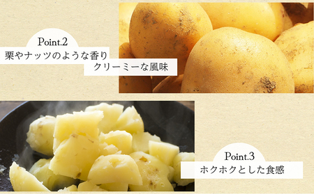 BH048 じゃがいも 希少品種 ながさき黄金 S〜2Lサイズ混合 約5kg [ 贅沢宝庫 長崎県 島原市 ]