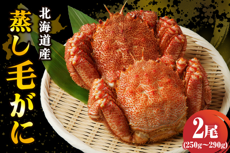 北海道産活蒸し毛蟹約約250g～約290g×2尾【er001-108】