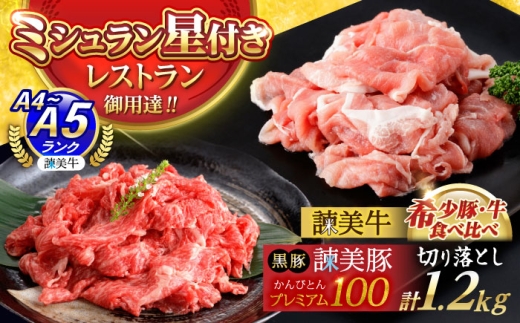 【ブランド牛＆ブランド豚の食べ比べ】諫美牛 切り落とし 600g(300g×2) ＆ 黒豚諫美豚プレミアム100 ウデ肉 切り落とし 600g(300g×2) / 切り落とし 牛肉 食べ比べ A5 赤身 焼肉 豚 豚肉 小分け ブラント豚 ハム / 諫早市 / 株式会社土井農場 [AHAD102]