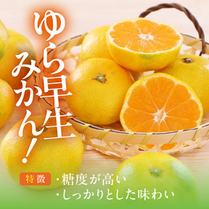 MK1057_【2025年先行予約】ゆら早生 みかん 箱込 2.5kg ( 内容量 2.3kg ) S M Lサイズのいずれか 秀品 優品 混合 有田みかん 和歌山県産