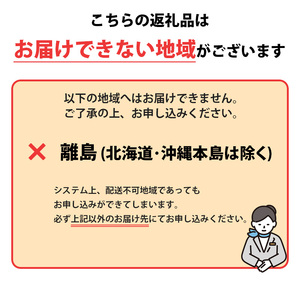 【冷蔵】牡蠣 岩ガキ 約2.5kg 7ケ入 牡蠣