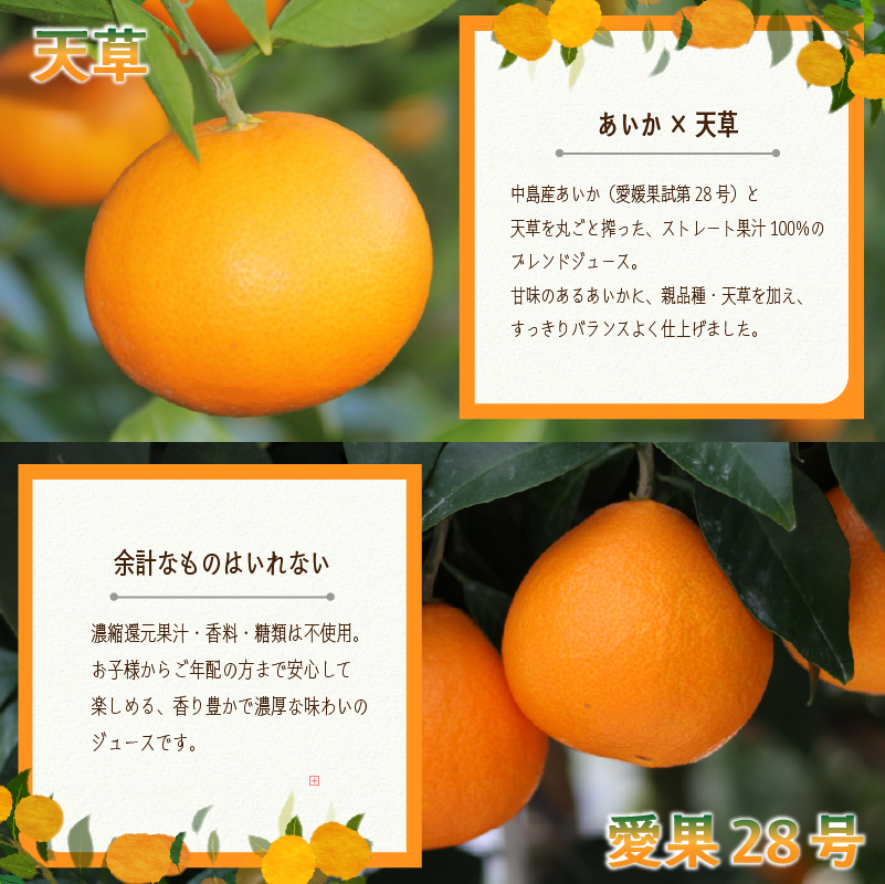 あいか＆天草ブレンド 果汁100％ ジュース 720ml×6本 | ストレート 無添加 みかん 愛果28号 紅まどんな と同品種 果汁100 オーガニック 無添加 ストレートジュース 数量選択可 みか