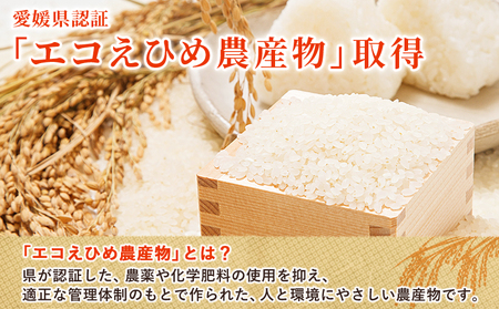 新米＜令和7年産 西予市産 特別栽培米 エコえひめ コシヒカリ 白米 約5kg＞国産 精米 農薬・化学肥料不使用 一等米 約5キロ 愛媛県産 こしひかり お米 米 コメ 産地直送 送料無料 シゲちゃん