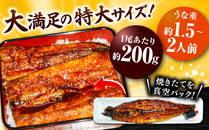 うなぎの美味しさはタレで決まる！自慢の味・国産活うなぎ蒲焼（2本入） | うなぎ 蒲焼 国産 美味しい タレ 島根県雲南市/有限会社石田魚店 [AICQ005]