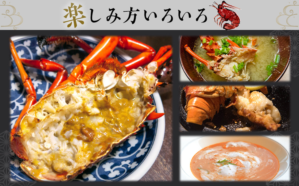 冷凍伊勢海老カット約1kg（サイズ不揃い）［HC15］