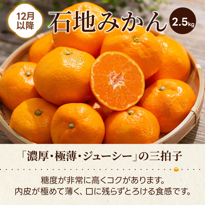 【数量限定☆先行受付】柑橘食べ比べ定期便（石地みかん・せとか） 各2.5kg フルーツ 果物 みかん オレンジ 産地直送 ジューシー 人気 濃厚 T10