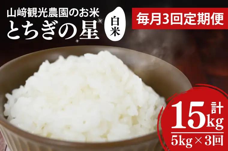 ＼先行予約／【全3回定期便】＜毎月＞山﨑観光農園のお米　とちぎの星　白米5kg （AU035）