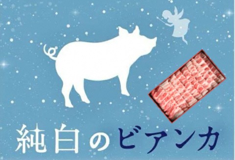 純白のビアンカ 豚バラ焼肉用 800g 豚肉 ぶた ぶた肉 肉 お肉 国産 冷凍 箱入り のし 贈答 ギフト プレゼント お中元 お歳暮 父の日 母の日 敬老の日 焼肉 BBQ 新鮮 新潟県 阿賀野市 1D06011
