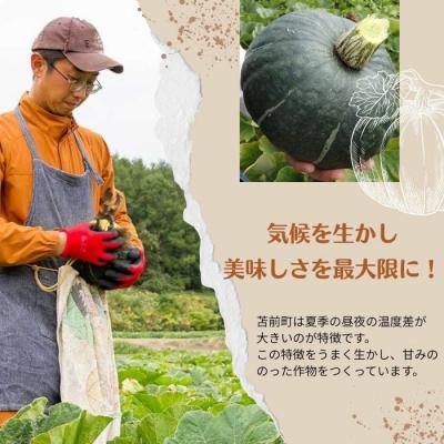 ふるさと納税 苫前町 【朝の情報番組で紹介!】上田ファームのかぼちゃ団子(あんこ)300g×3 ued04 |  | 01
