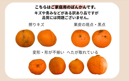 【先行予約】ポンカン 海のミネラルをたっぷり含んだ甲浦のポンカン 5kg〈訳あり〉 国産 東洋町産 訳アリ 甘い 栄養たっぷり ジューシー 果肉 四国 お取り寄せ フルーツ 蜜柑 ミカン 果物 家庭用