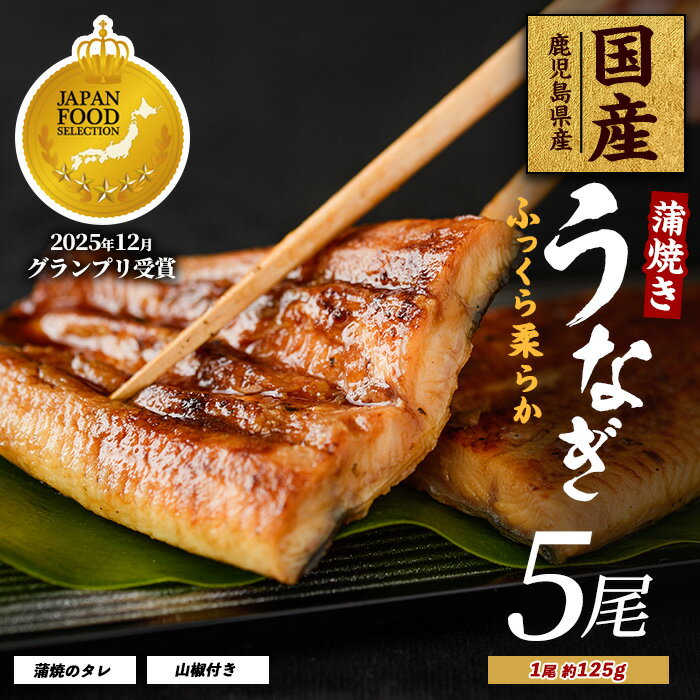 【ふるさと納税】【鹿児島県産】 うなぎ蒲焼じっくり焼き約125g×5尾 化粧箱入り 鰻 ウナギ 蒲焼 国産 丑の日 うな重 無頭 ギフト プレゼント 贈り物 贈答 惣菜 総菜 小分け【大新】