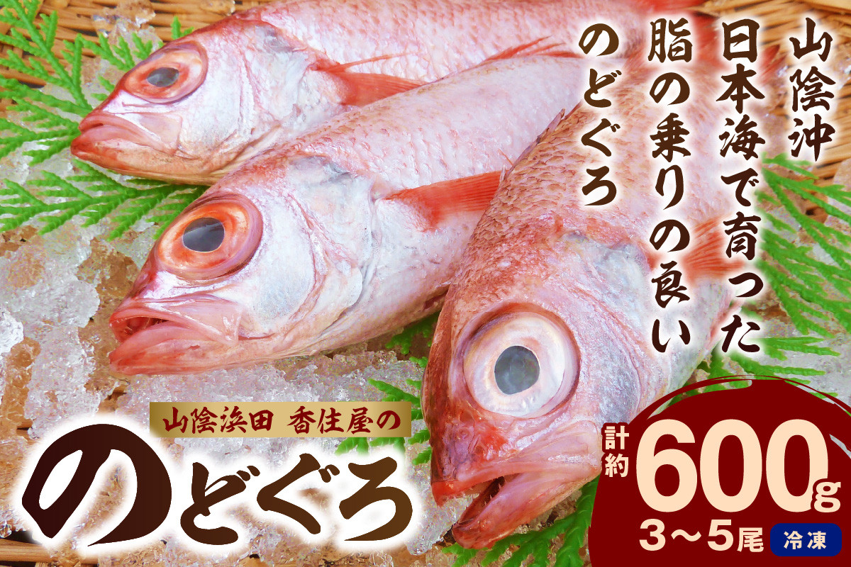 
山陰浜田 香住屋の「のどぐろ」煮付け・塩焼き用（3～5尾・600g） アカムツ のどぐろ 煮付け 塩焼き 下処理済 特産品 おすすめ 海鮮 ギフト 贈り物 【107】
