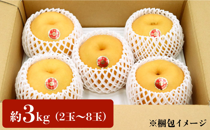 【2026年10月～発送】【あなたを満たす梨の王様】新高梨 約3kg 特大級 梨専門 八木農園 / 梨 なし ナシ / 南島原市 / 贅沢宝庫 [SDZ031]