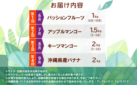 【発送月固定定期便】JAおきなわ厳選!季節の南国フルーツ全4回【配送不可地域：離島】【4079625】