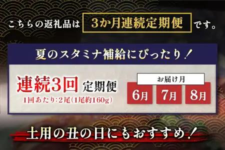 うなぎ 蒲焼 定期便 ＜計3回＞ 鰻 2尾 （計960g） 国産 ウナギ 3か月 連続 人気 ギフト 贈答品 おすすめ 小分け 宮崎県 高鍋町 名物【MR-g-001】