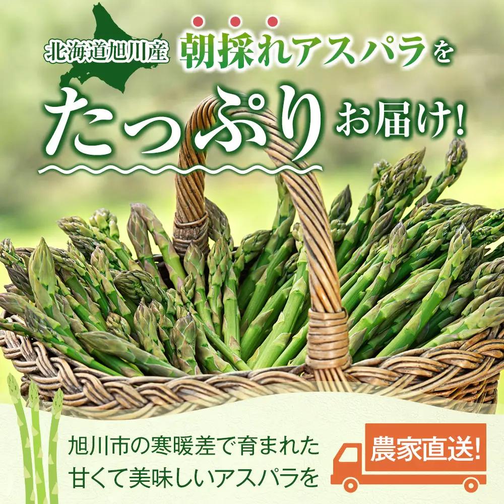 【先行予約】農家直送 朝採れ 夏グリーンアスパラ Lサイズ 1kg(500g×2袋) 北海道旭川産アスパラ (2026年7月中旬発送開始予定) _05931