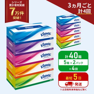ふるさと納税 岩沼市 定期便 ティッシュ クリネックス ティシュー 5箱入×2P《計4回》 [No.5704-1044]
