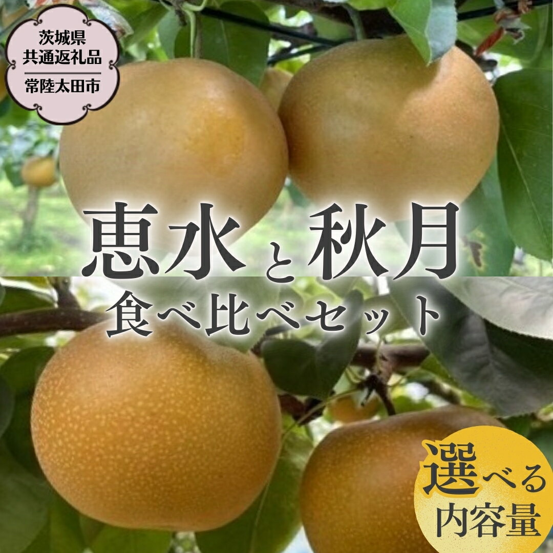 【ふるさと納税】《 2025年 先行予約 》 厳選 2種！恵水 と 秋月 の 食べ比べセット 約3kg ( 5玉～7玉 ) 約5kg ( 8玉～10玉 ) 【 茨城県共通返礼品 ／ 常陸太田市 】 2025年9月中旬発送 桧山果樹園 フルーツ 甘い 直送 茨城 限定 ギフト 梨 恵水 秋月 旬 贈答 果物