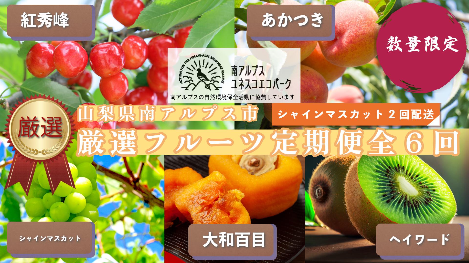 
            山梨県 南アルプス市産 厳選フルーツ定期便全6回 ALPEM001
          
