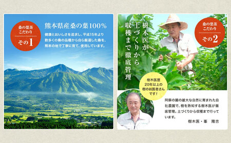 桑の葉茶 ティーバッグ3g×30P 1袋【株式会社 峯樹木園】[AYBM020]