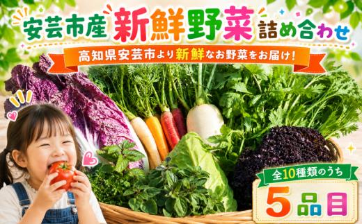 新鮮お野菜詰め合わせセット 1～2人前｜人気 野菜 詰め合わせ セット 新鮮野菜 野菜定期便 野菜セット 季節の野菜 地元産 おすすめ ジャガイモ 玉ねぎ 人参 タマネギ にんじん トマト きゅうり なす 旬野菜 新鮮 お試し やさい定期便 野菜 定期便 6000円 6,000円 1万円 高知県 安芸市