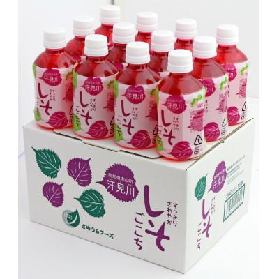 ふるさと納税 本山町 すっきりさわやかしそごこち　280ml×12本セット |  | 01