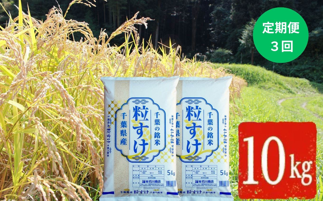 
            新米 【 令和7年産 】【 定期便 ・ 3ヶ月 】【新品種】千葉・粒すけ（精米） 10kg | 米 こめ お米 おこめ 白米 精米 大つぶ 千葉県のブランド米 千葉県 君津市
          