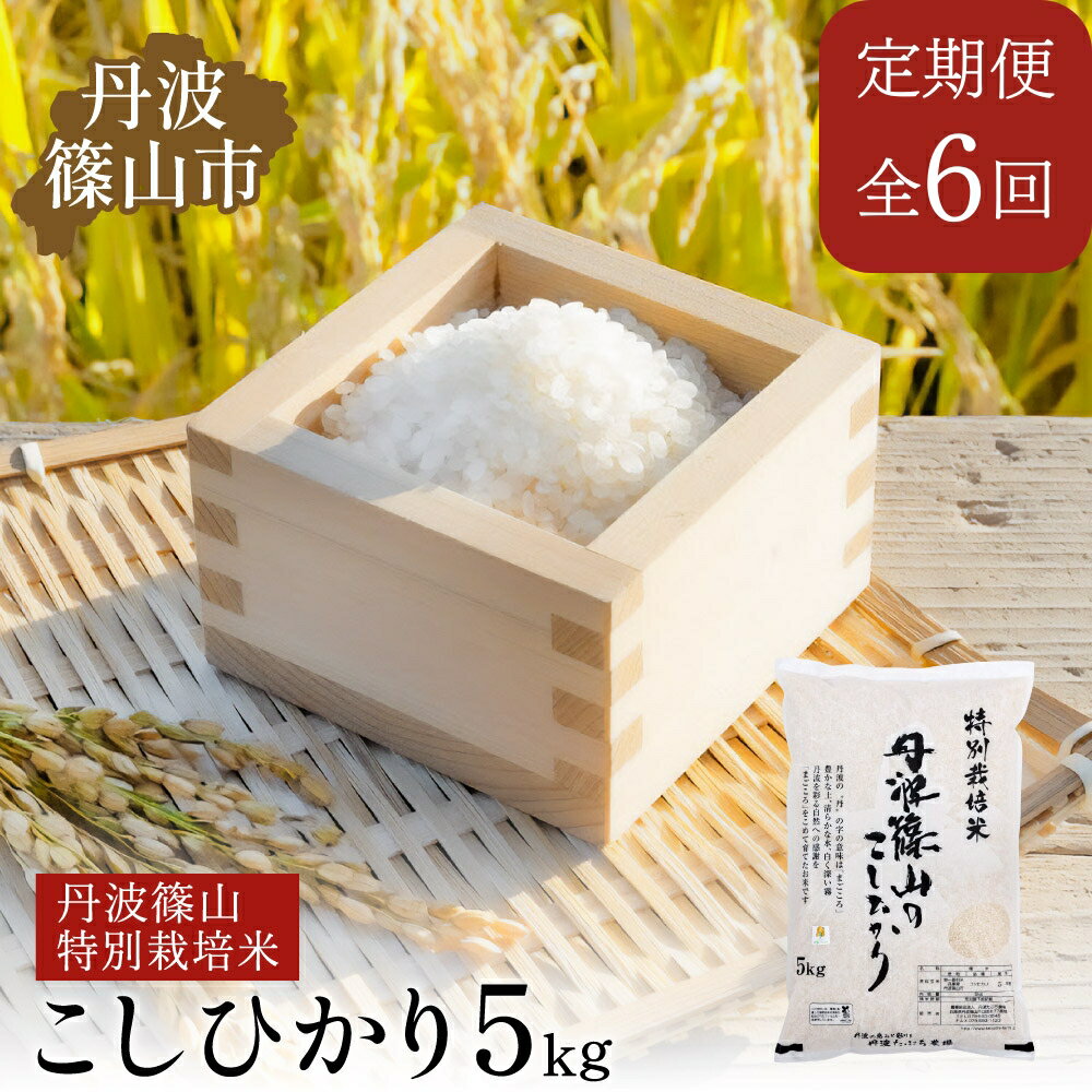 【ふるさと納税】【定期便】※令和7年　新米予約※特Aランク特別栽培米　コシヒカリ　5kg（全6回） 兵庫県 丹波篠山市 白米 100％単一原料米 産地直送米 贈答 おいしい お米 精米 ブランド おこめ 健康 ギフト 内祝い 贈り物 送料無料 おすすめ 人気 口コミ