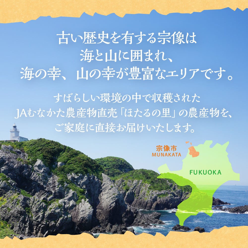 何が届くかお楽しみ！むなかた旬のフルーツ福袋セット
