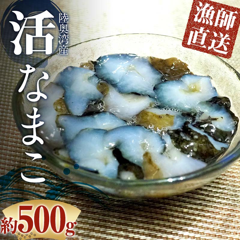 【ふるさと納税】 活なまこ 約500g (3～5本) ※生食可 【琉宝丸】 漁師直送 なまこ ナマコ 海鼠 魚介 青森 青森県 東北 陸奥湾 むつ湾 F21J-241