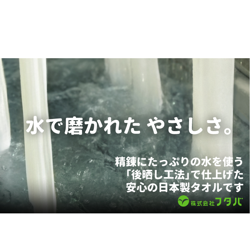白タオルセット（抗ウイルス加工）【泉州タオル 国産 吸水 普段使い シンプル 日用品】 010B276
