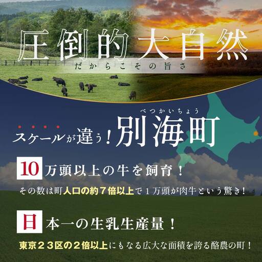 【定期便】黒毛和牛「別海和牛」ロースステーキ 用 500g × 8ヵ月 【全 8回】 （ ステーキ 牛肉 黒毛和牛 別海和牛 北海道 人気 ふるさと納税  ）