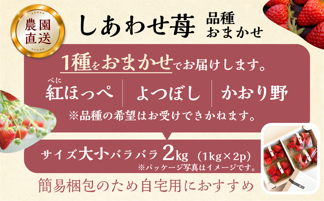 【2027年1月以降発送】 しあわせ苺 品種おまかせ いちご2kg (1kg × 2セット) 自宅用 サイズ バラバラ 訳あり 訳アリ 農園直送 フルーツ 果物 苺 イチゴ 子ども 大人 人気 小分け 簡易梱包 家庭用 産地直送 紅ほっぺ よつぼし かおり野 先行予約 岐阜 期間限定 [mt1799_25] family農園watanabe