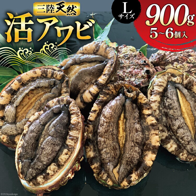 【ふるさと納税】海鮮 魚介 三陸 天然 活 アワビ Lサイズ 900g(5～6個入) [マルヤ五洋水産 宮城県 南三陸町 30al0009] 魚介類 あわび 鮑 天然 蝦夷あわび 貝 冷蔵 刺身 刺し身 活き ステーキ