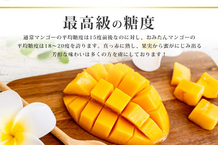 【数量期間・季節限定】 『グッド！モーニング』で紹介 おみたんマンゴー約450g 数量限定 期間限定 先行予約 完熟 マンゴー 国産フルーツ 果物 くだもの 【7月20日～8月末まで順次発送予定】 1