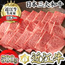 【ふるさと納税】【4等級以上】【カネ吉山本】近江牛[選] 焼肉用 リブロース【500g】【牛肉】【牛】【A4】【A5】【国産】