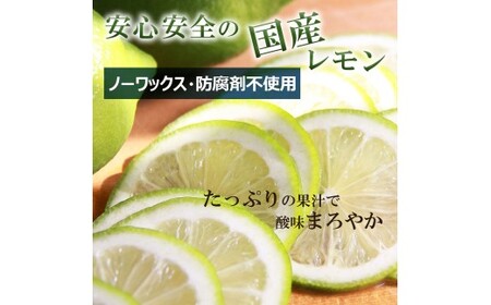 レモン 約5kg 12～25個 璃の香レモン 果物 くだもの 柑橘 フルーツ れもん お取り寄せ 産地直送 おいしい 美味しい 白木果樹園 常温 配送 高知県 高知 土佐市