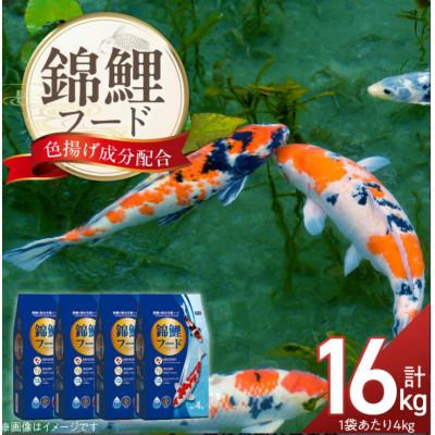 ふるさと納税 久留米市 錦鯉フード 4kg×4袋(久留米市)