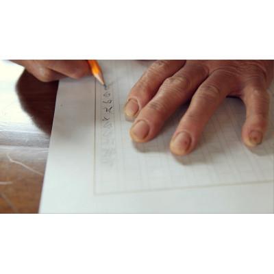 ふるさと納税 香美市 旬の野菜の詰め合わせと栽培期間中に農薬不使用の生姜200g付き |  | 02