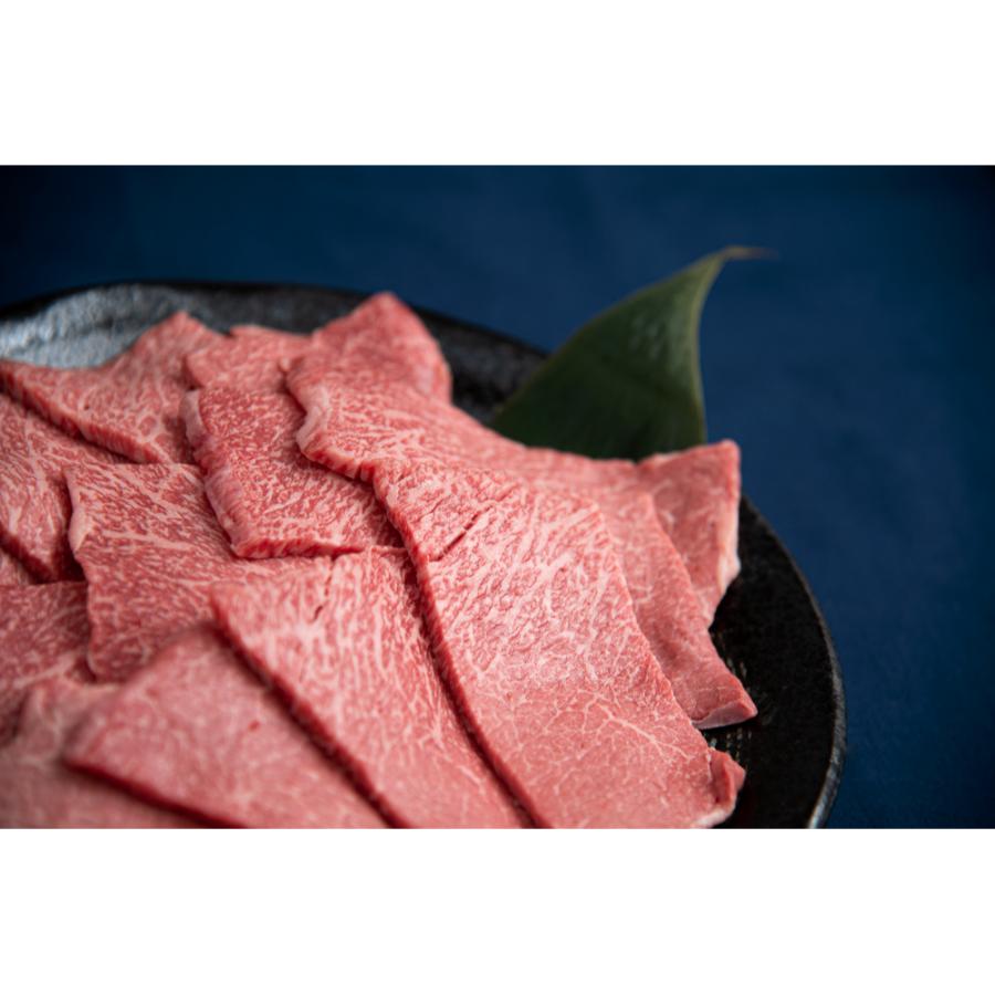 ＜藤井商店＞常陸牛 赤身焼肉用(モモ・ウデ)900g